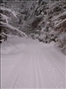 SWZ_Winter 2006 001